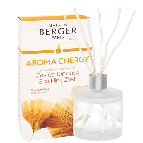 Maison Berger - Pálcás Diffúzor Aroma 180ml - Aroma Energy-Ragyogó Életkedv